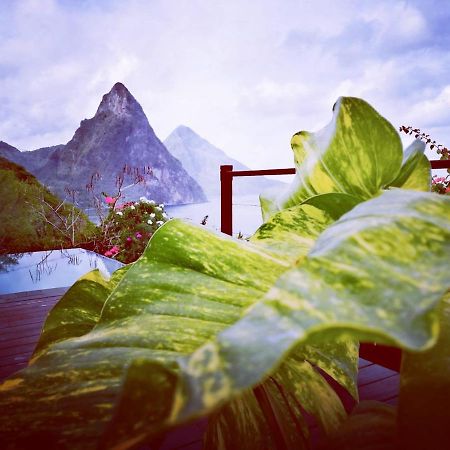 Moringa Villa Studio 1 Soufriere Ngoại thất bức ảnh